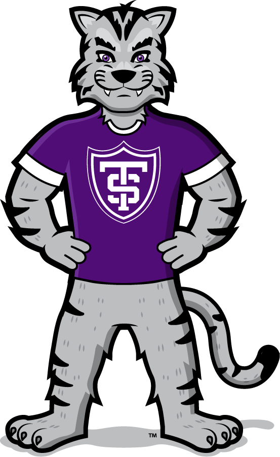 St. Thomas Tommies 2021-Pres Mascot Logo v3 DIY iron on transfer (heat transfer)